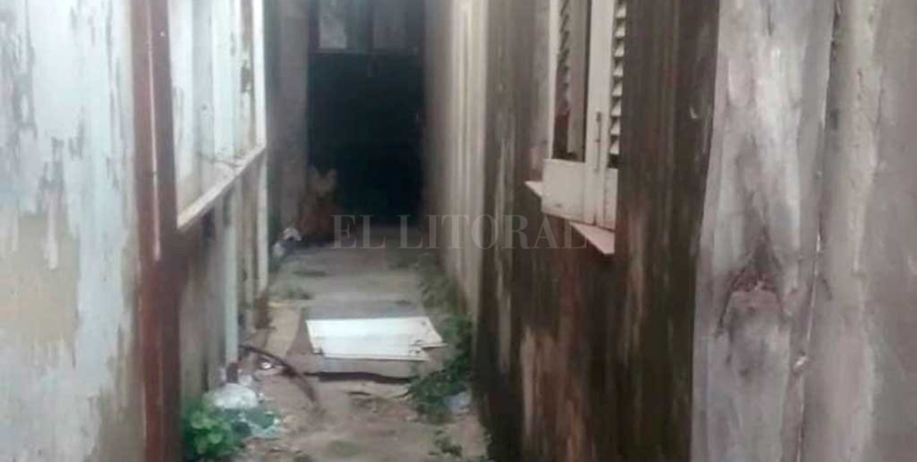 Sorpresa en Fomento 9 de Julio por la aparición de un Aguará Guazú