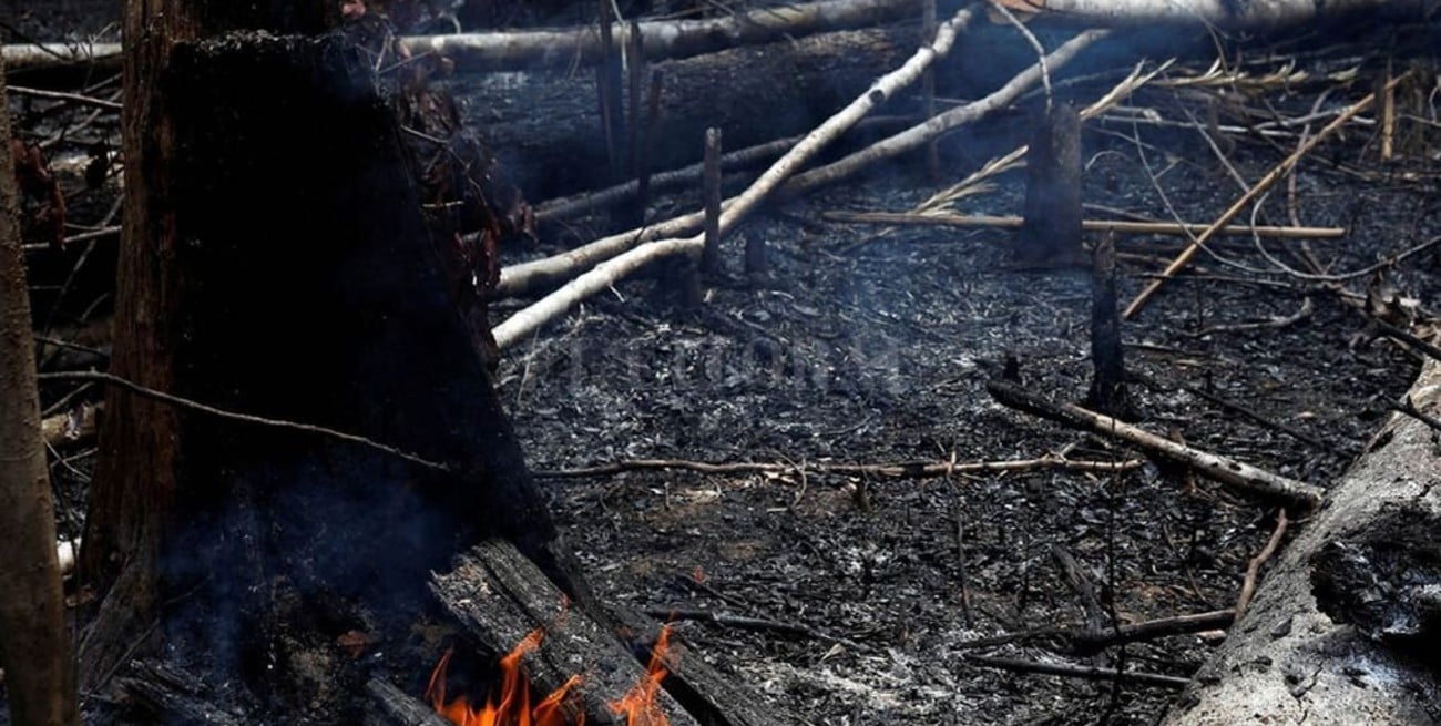 Es falso que llueve sobre el Amazonas 