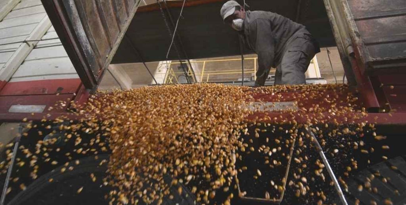 Cadenas agroindustriales generan 22% del empleo privado en el país