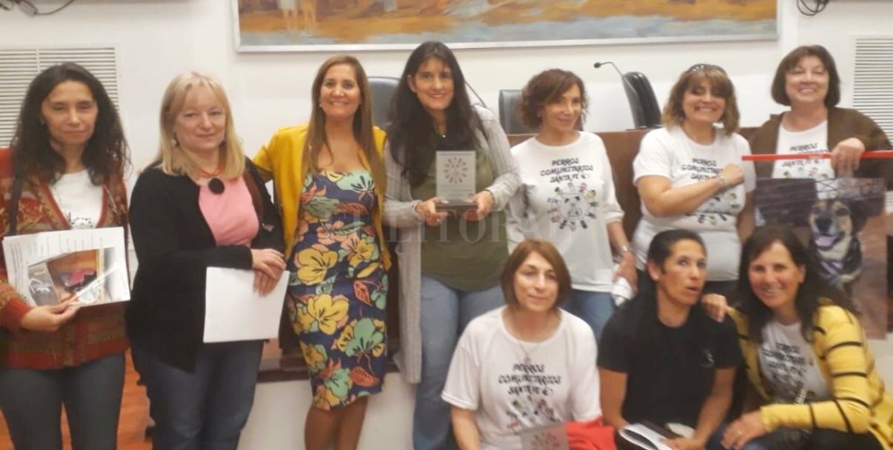 Del aula a la cucha: Una escuela premiada por el cuidado de sus mascotas