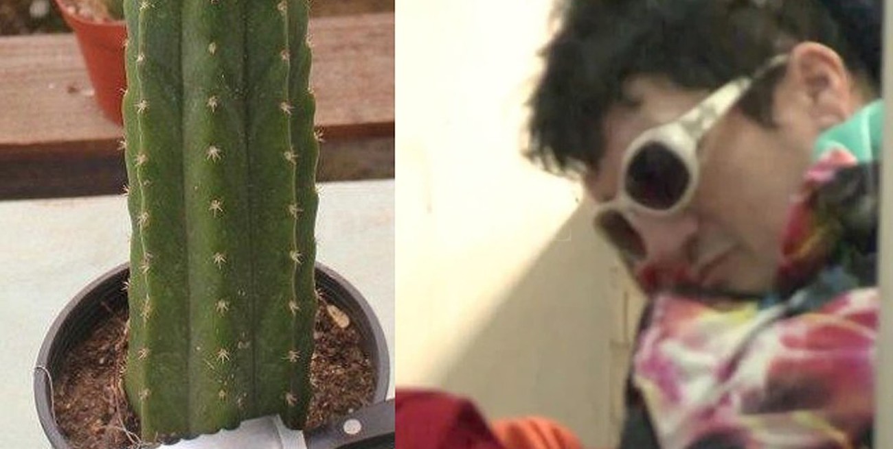 El cóctel alucinógeno que Pity Álvarez consumió antes de cometer el crimen