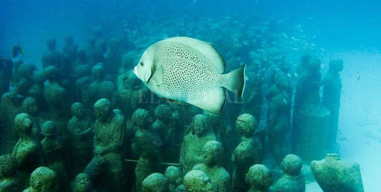 Estudio revela deterioro de salud del arrecife centroamericano