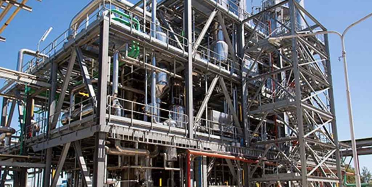 Biocombustibles: se espera el anuncio oficial sobre la nueva ley