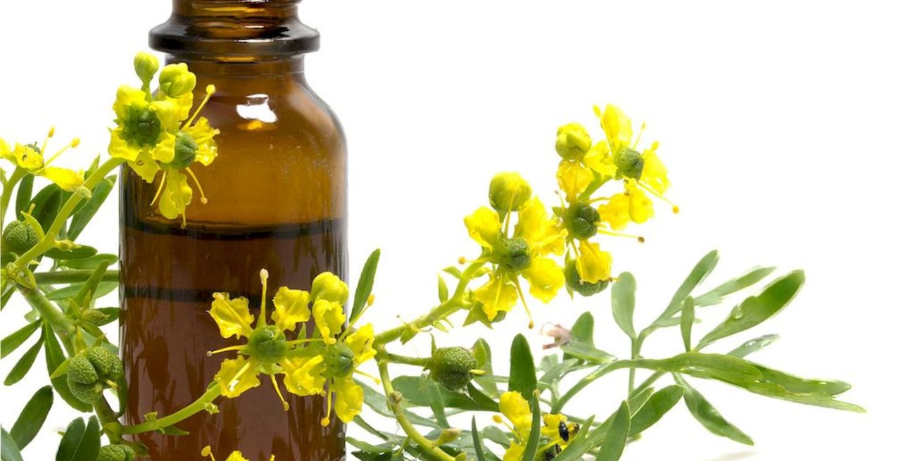 Día de la Pachamama: ¿Por qué se toma caña con ruda el 1° de agosto?