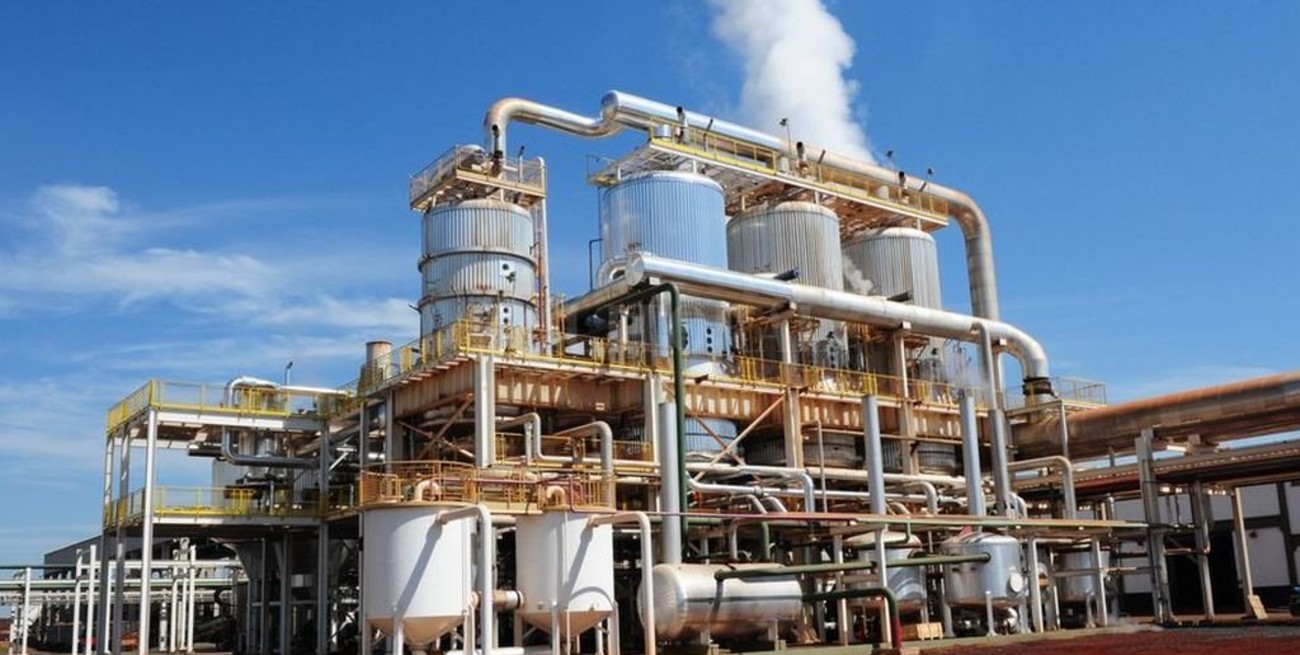 Pymes productoras de biodiesel al "borde de la desaparición"