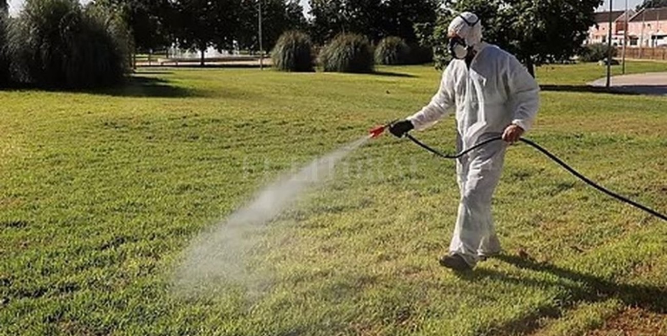 Hay 25 pacientes internados por un brote de "Fiebre del Nilo" en España