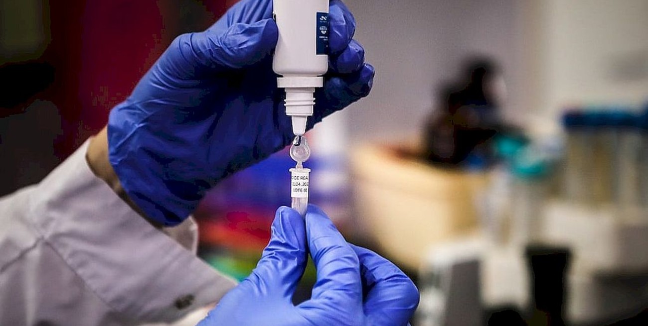 Las claves de la vacuna Oxford contra el coronavirus que producirá la Argentina