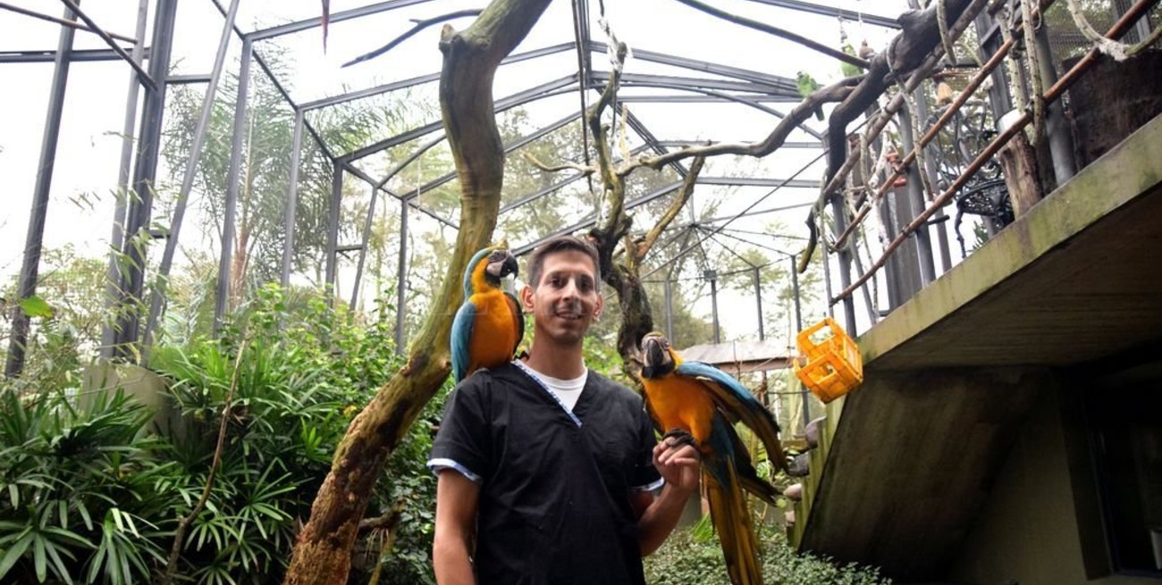 Animales exóticos: situación, cuidados y legalidades en Santa Fe y Argentina