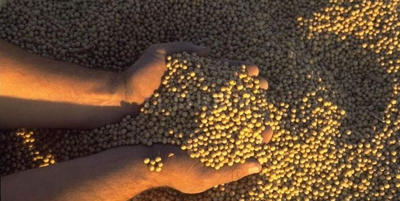  Monocultivo o diversificación productiva: el papel de las retenciones