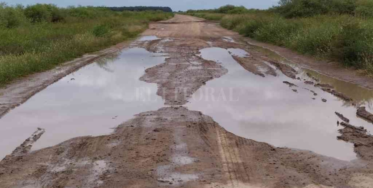 El impacto de las lluvias en los campos del norte santafesino