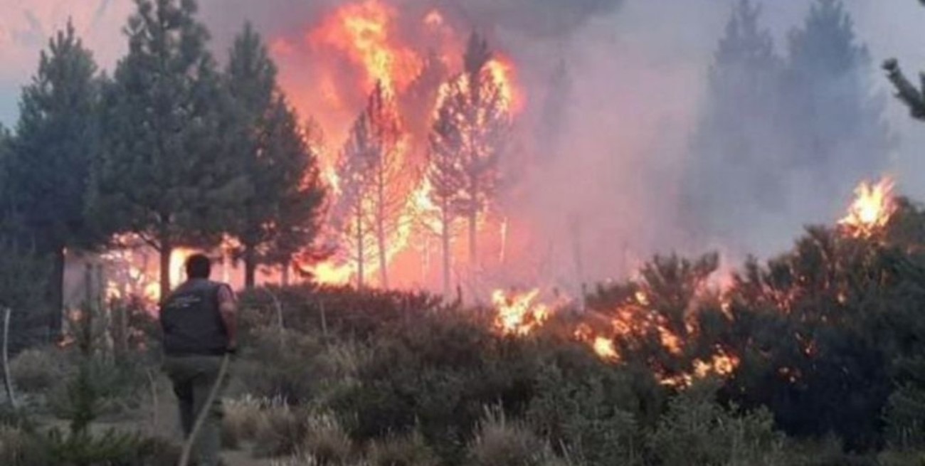 Piden refuerzos para contener el avance del fuego en El Bolsón
