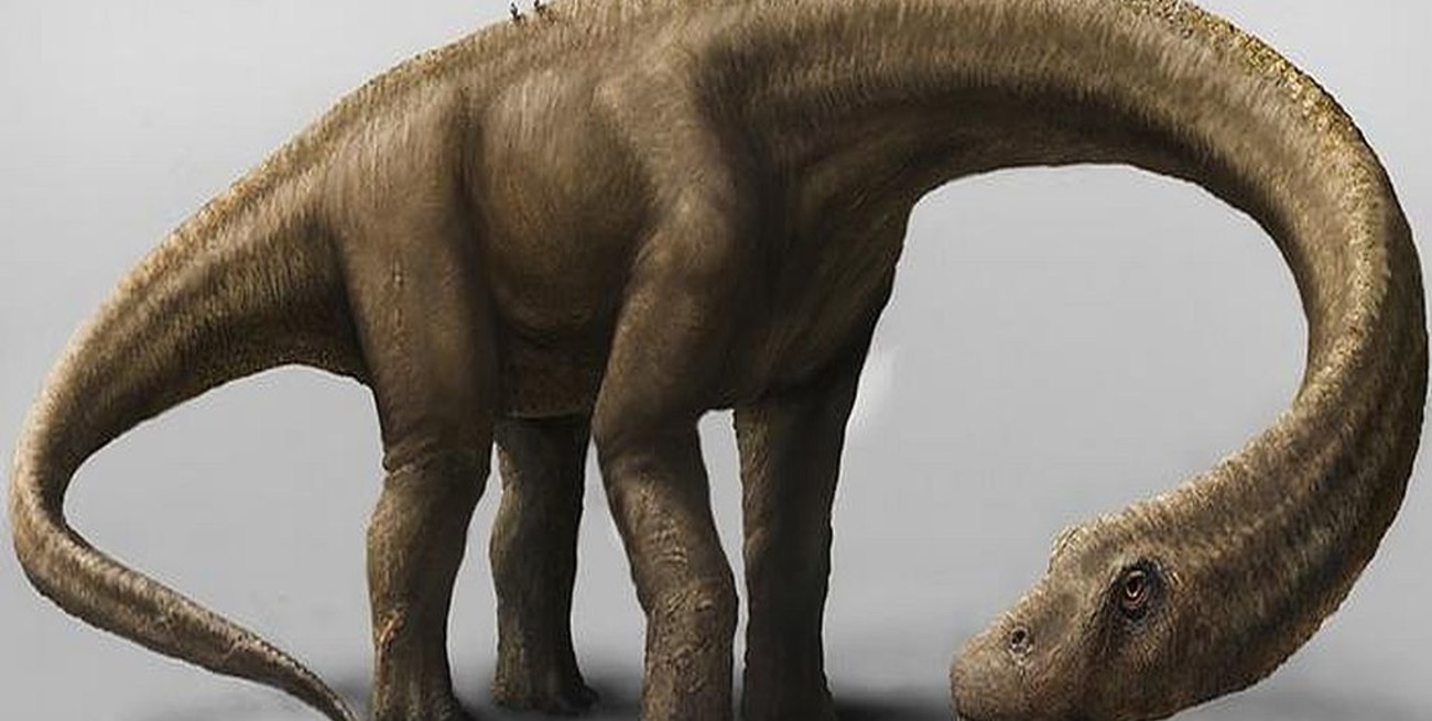 Confirmaron que el titanosaurio más antiguo del mundo es argentino
