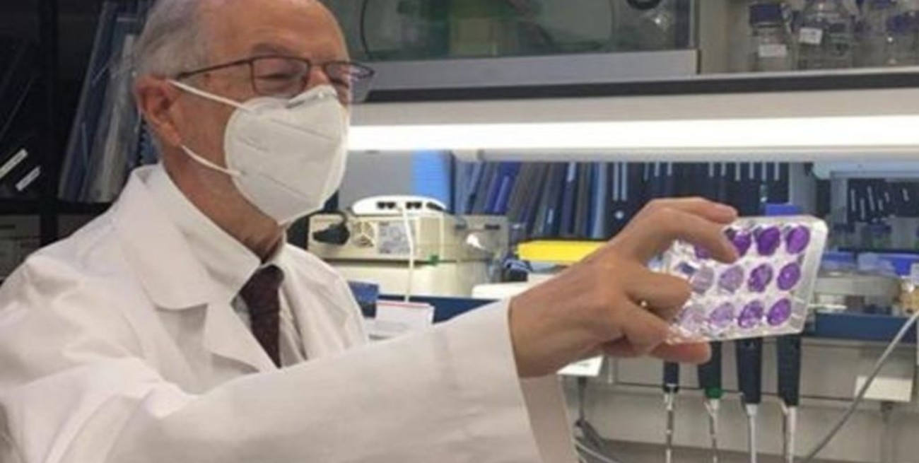 España prepara una vacuna intranasal esterilizante y que sólo necesita una dosis