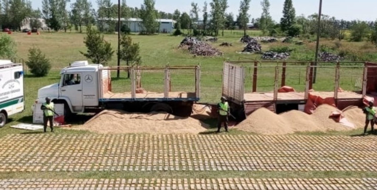 Secuestraron 2 toneladas de marihuana en Córdoba