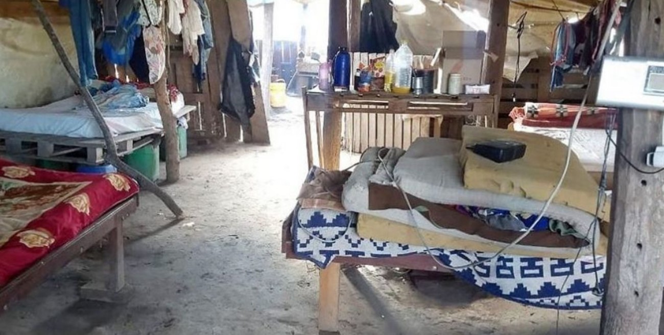 Explotación laboral en dos campos de Corrientes: "Tenían hambre y debían cazar para comer"