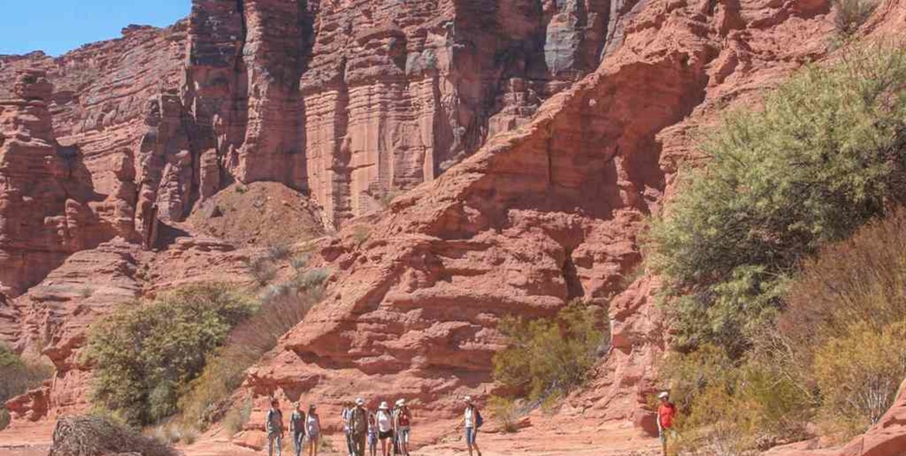 La Rioja: investigadores hallaron nueva especie de rincosaurio de 230 millones de años de antigüedad