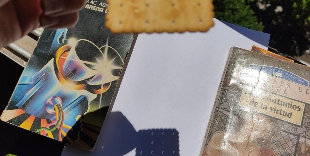 Viral: así se vio el eclipse solar a través de una galletita