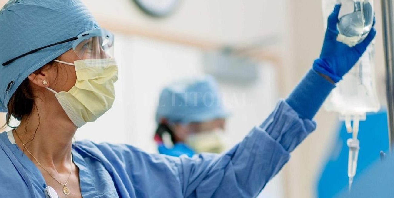 La Anmat aprobó los ensayos clínicos con suero de caballo para tratar a pacientes con coronavirus