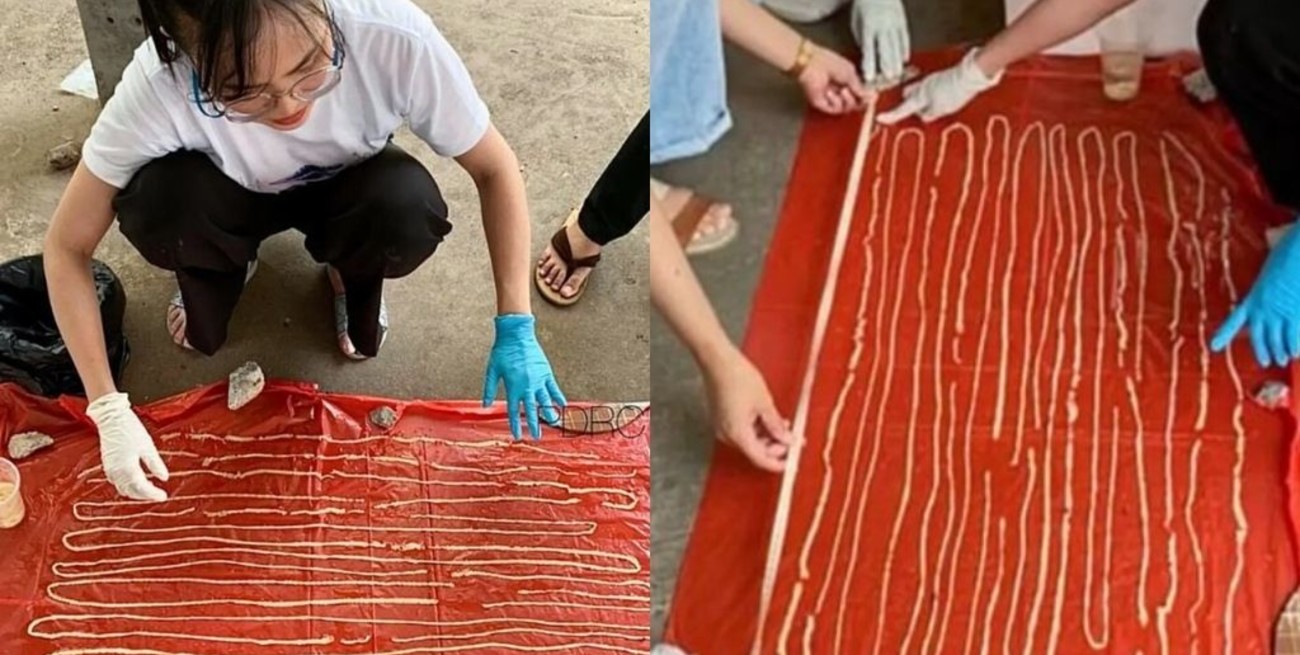 Un hombre de 67 años tenía dolores de estómago y encontraron un parásito de 18 metros en su intestino