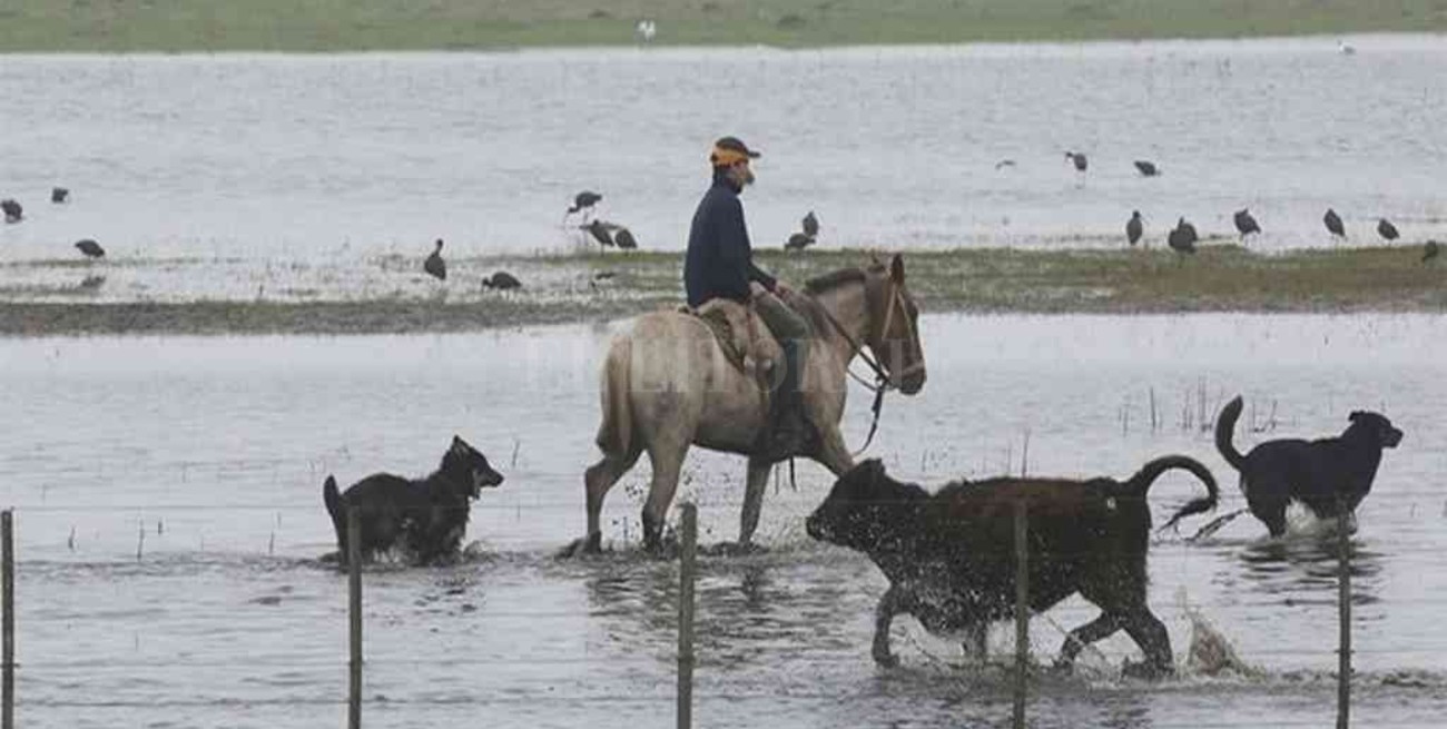 El proyecto de desarrollo socioeconómico del norte del departamento Vera da sus primeros pasos
