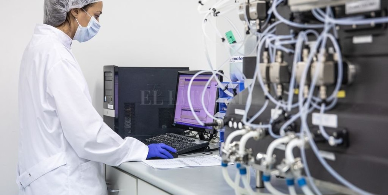 La vacuna santafesina contra el Covid: ¿En qué fase está?