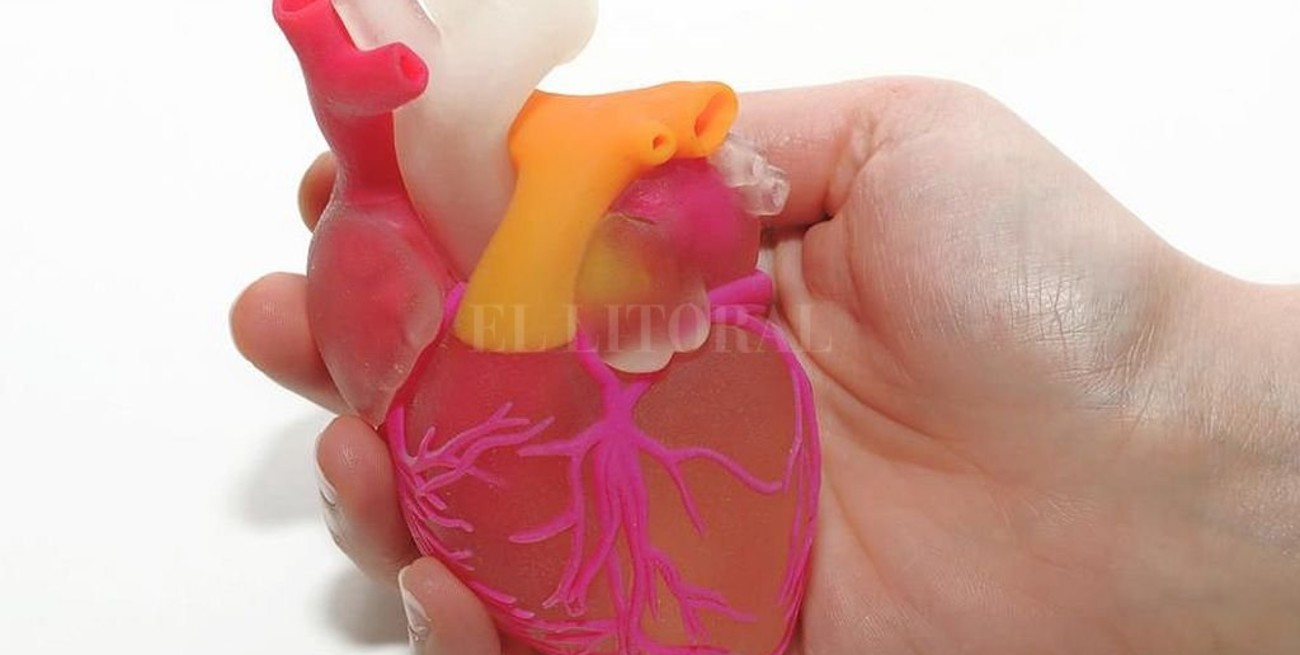 Científicos de EEUU lograron imprimir en 3D partes del corazón