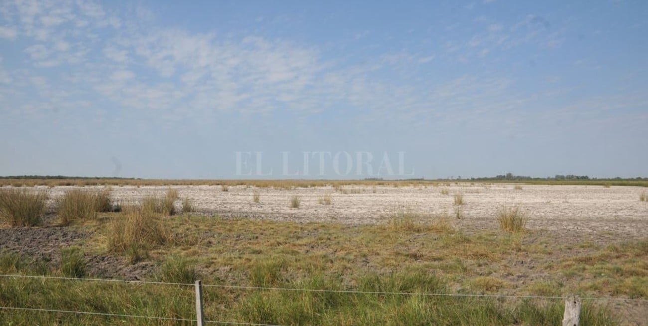 La primavera llegó, pero sin lluvias
