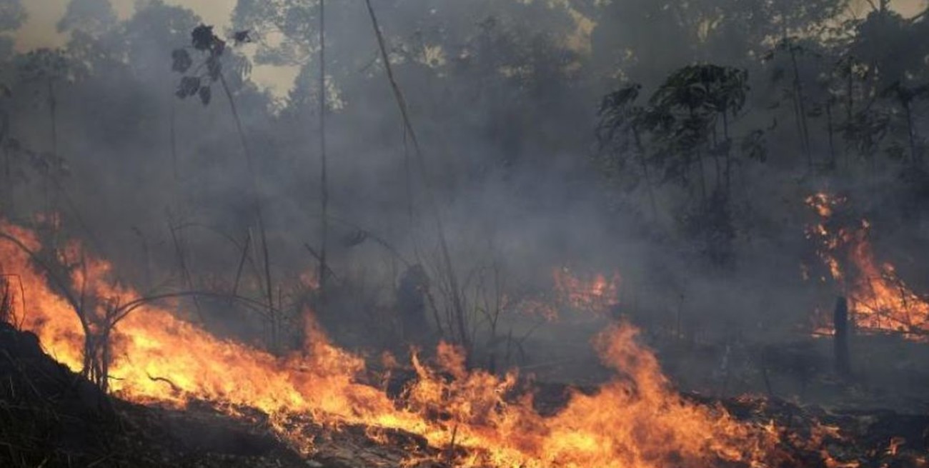 La Cruz Roja advirtió que hay condiciones para que se siga propagando el fuego en la Amazonia