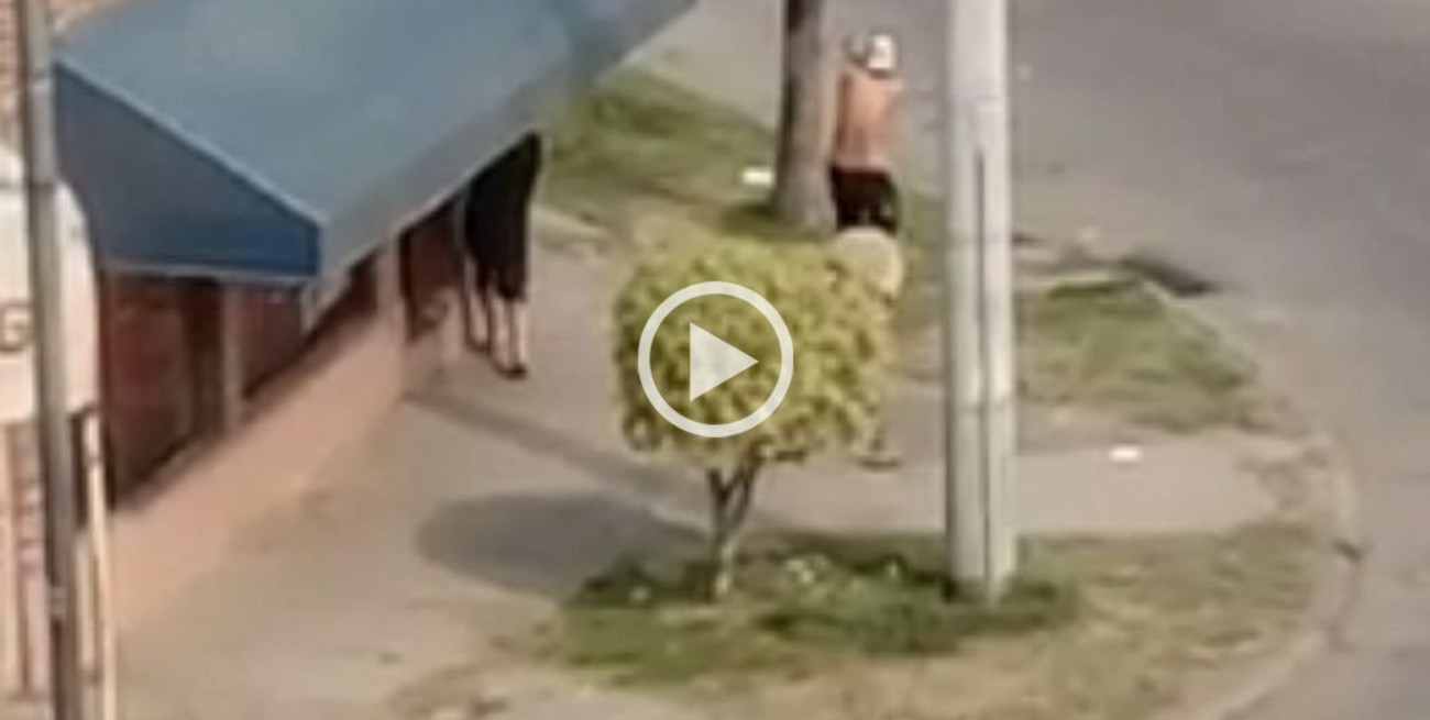 Video: a los tiros, en la calle y a plena luz del día en el barrio Centenario
