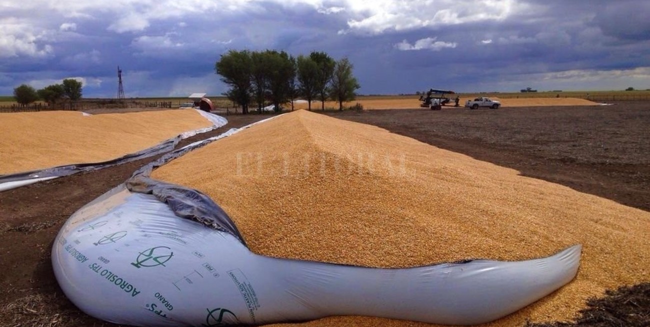Inseguridad rural: la Sociedad Rural de Rosario exigió que se actúe para esclarecer los delitos