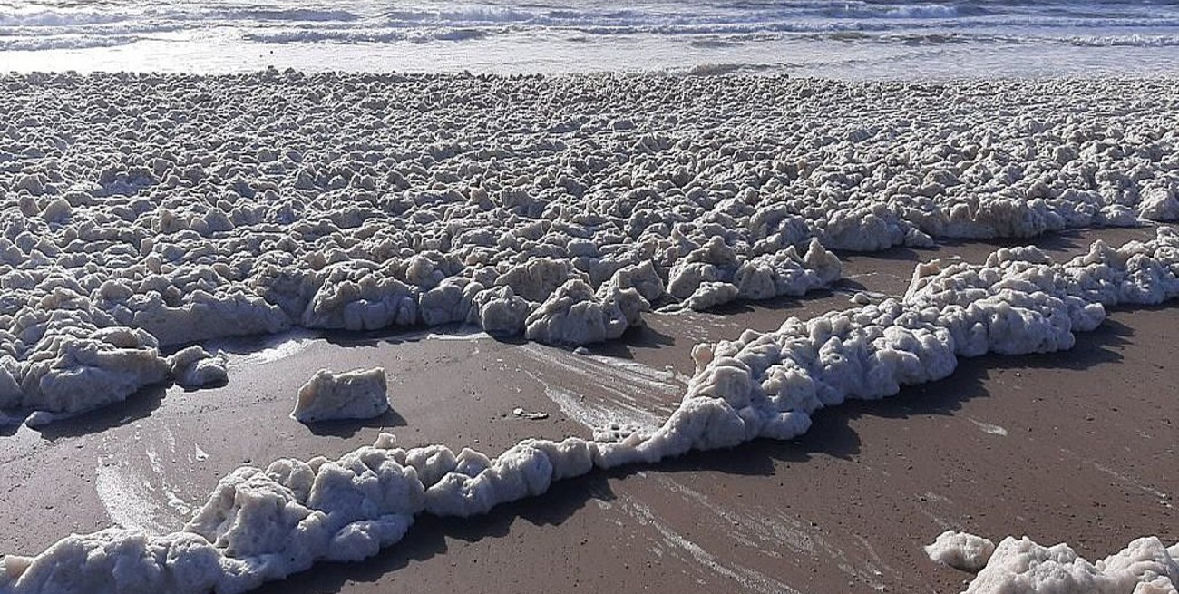 Mar del Plata: las playas amanecieron llenas de espuma