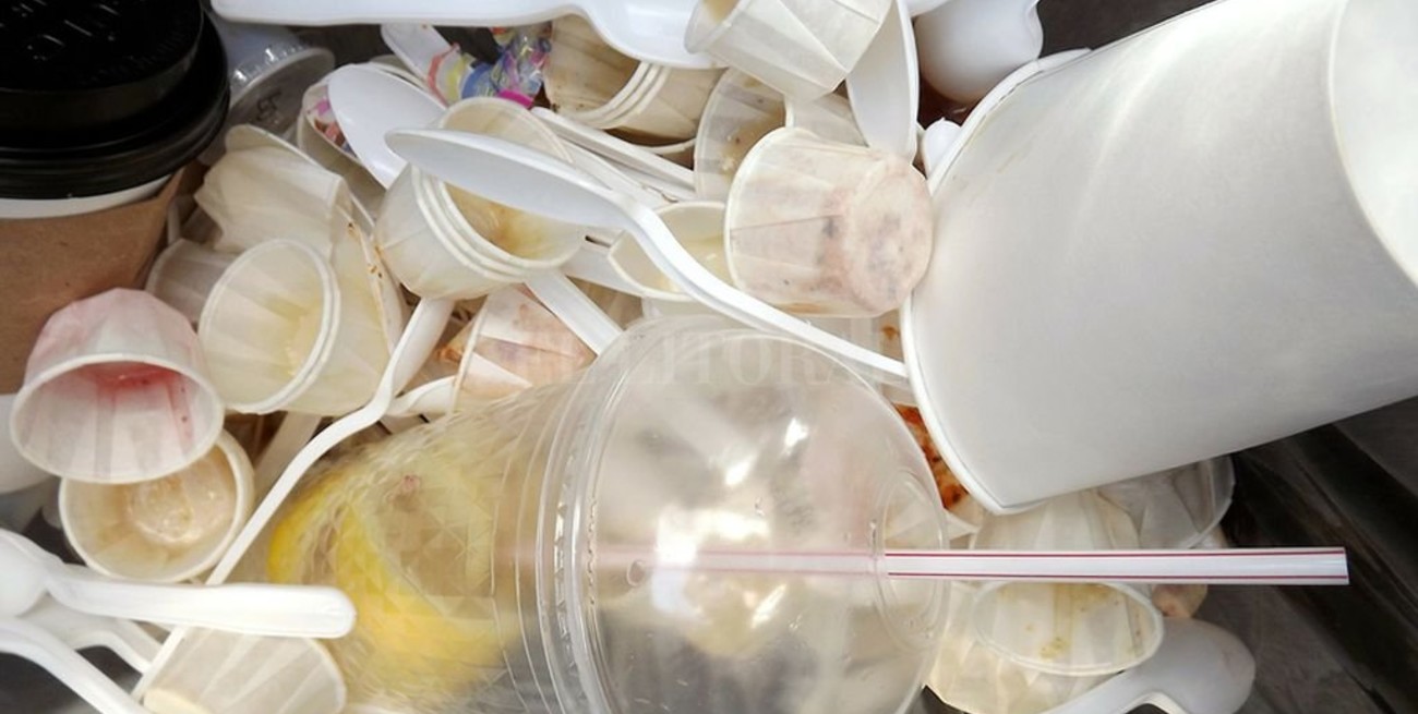 La vida moderna entre sorbetes y vasitos: buscan prohibir los plásticos "use y tire"