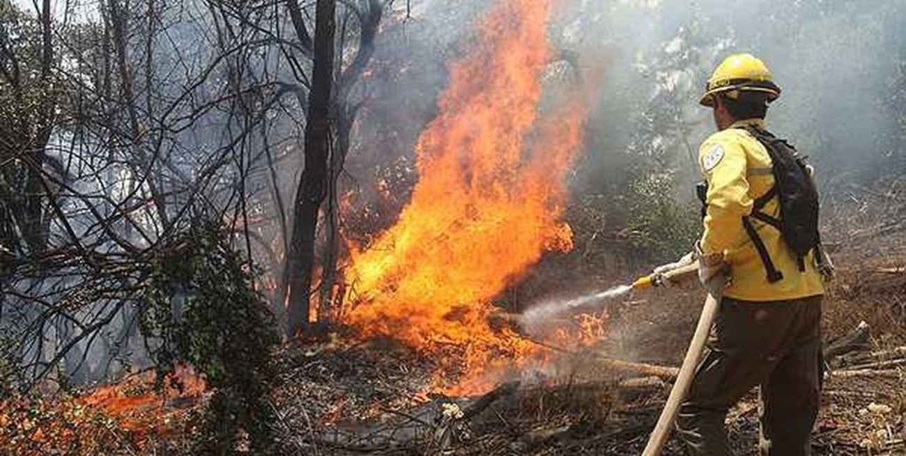 Cuatro provincias continúan con incendios forestales activos