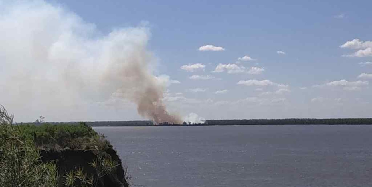 Defensorías del Pueblo solicitaron ser incorporadas a la causa por quemas en el delta del Paraná