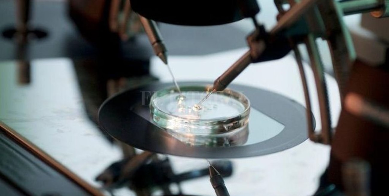 Científicos chinos advierten una posible transmisión sexual del coronavirus