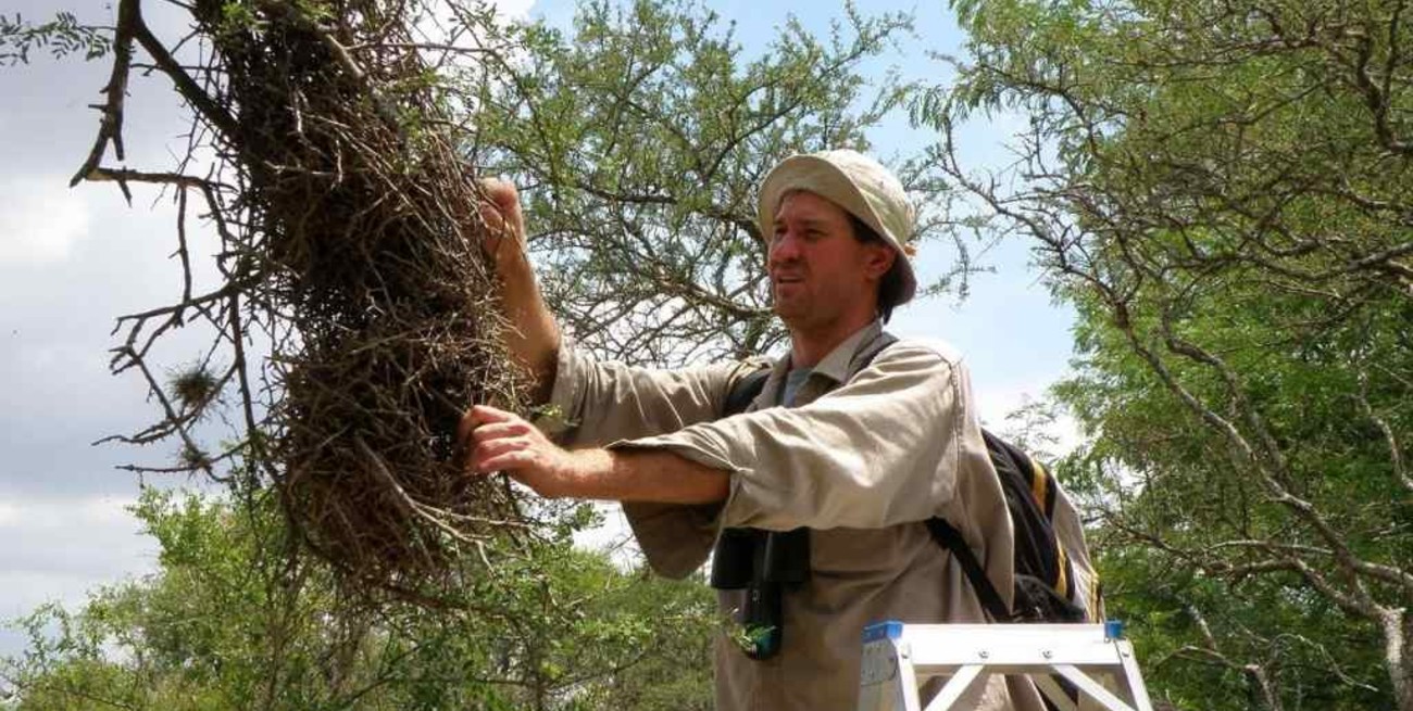 "Cuando hay hambre, no hay pan duro", un dicho también aplicable a los parásitos