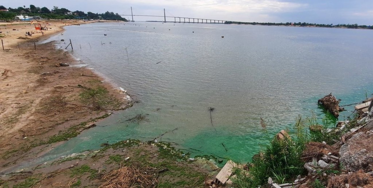 Rosario: aparecieron zonas de agua verde fosforecente en aguas del Río Paraná