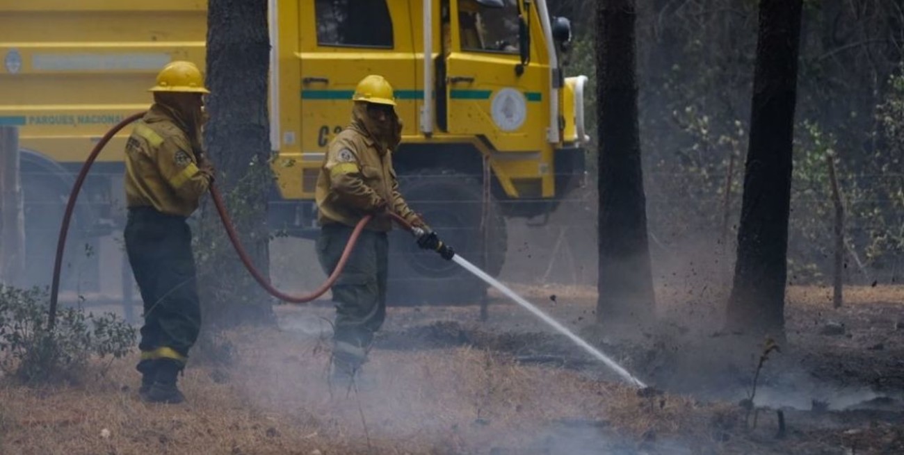 El Gobierno enviará peritos especializados para investigar los incendios