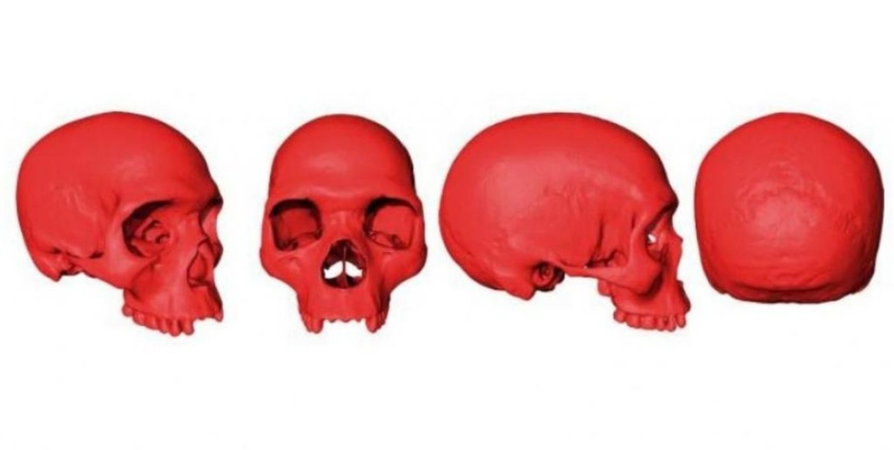 Reconstrucción 3D: cómo era el cráneo del ancestro del Homo Sapiens