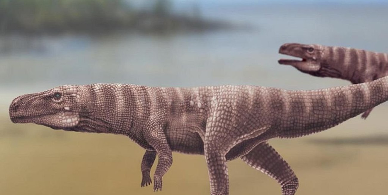 Descrubren huellas de un cocodrilo prehistórico "bípedo" en Corea del Sur