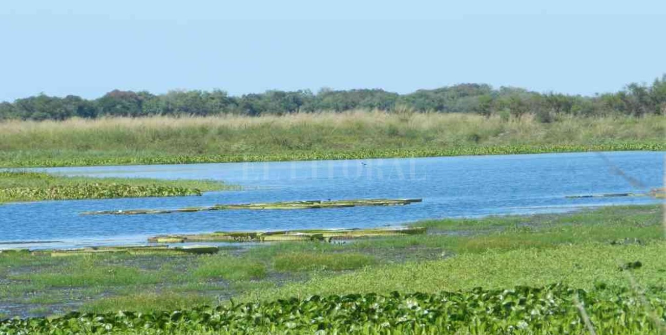 La costa santafesina tiene su primera reserva ecológica