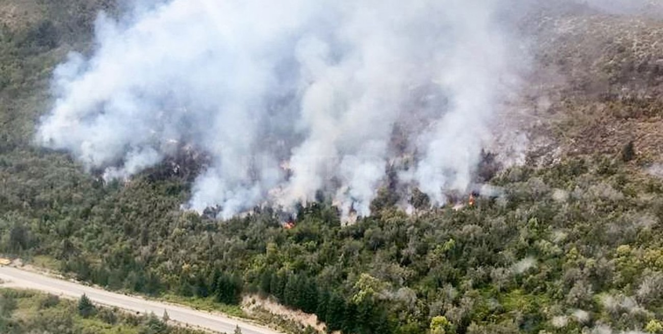 Se desató un incendio forestal en San Martín de los Andes