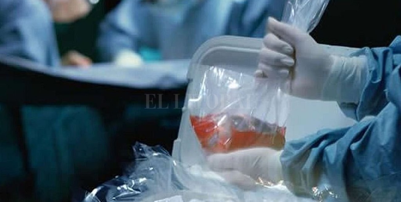 Abordaje telefónico en la donación de órganos