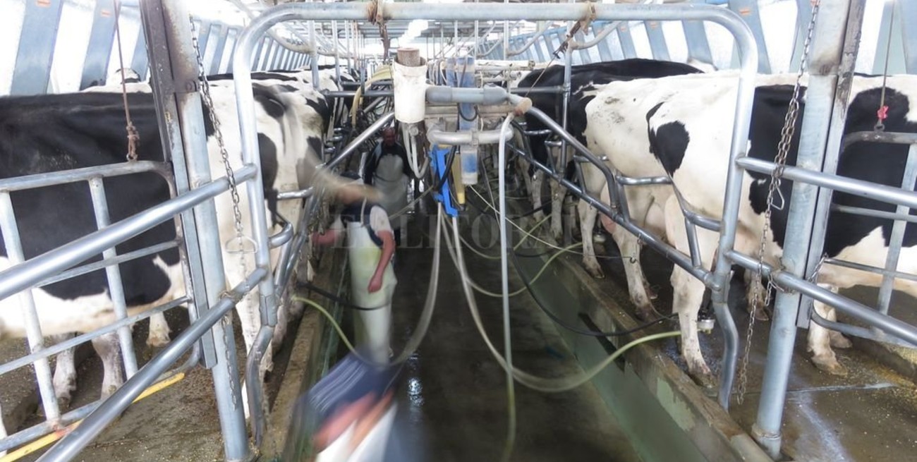 "Retenciones cero o desaparecemos"