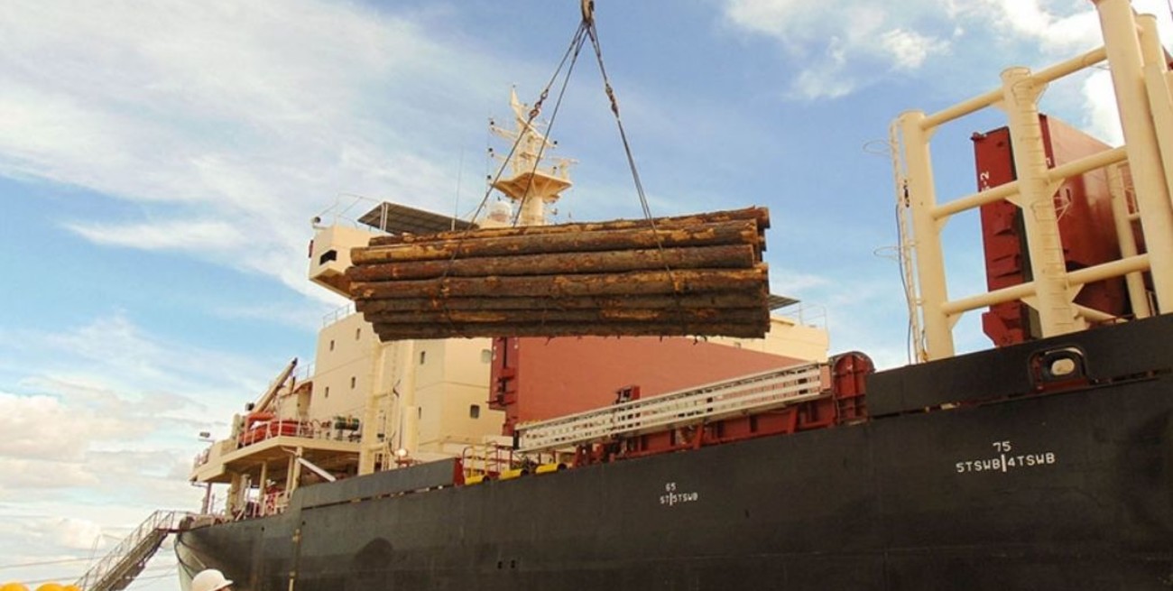 Corrientes fue una de las únicas tres provincias que aumentaron exportaciones en 2020