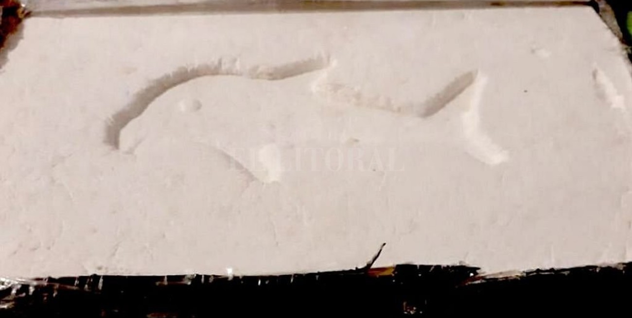 Detienen al "Pulpo Blanco", el narco que marcaba la cocaína con un sello de delfín
