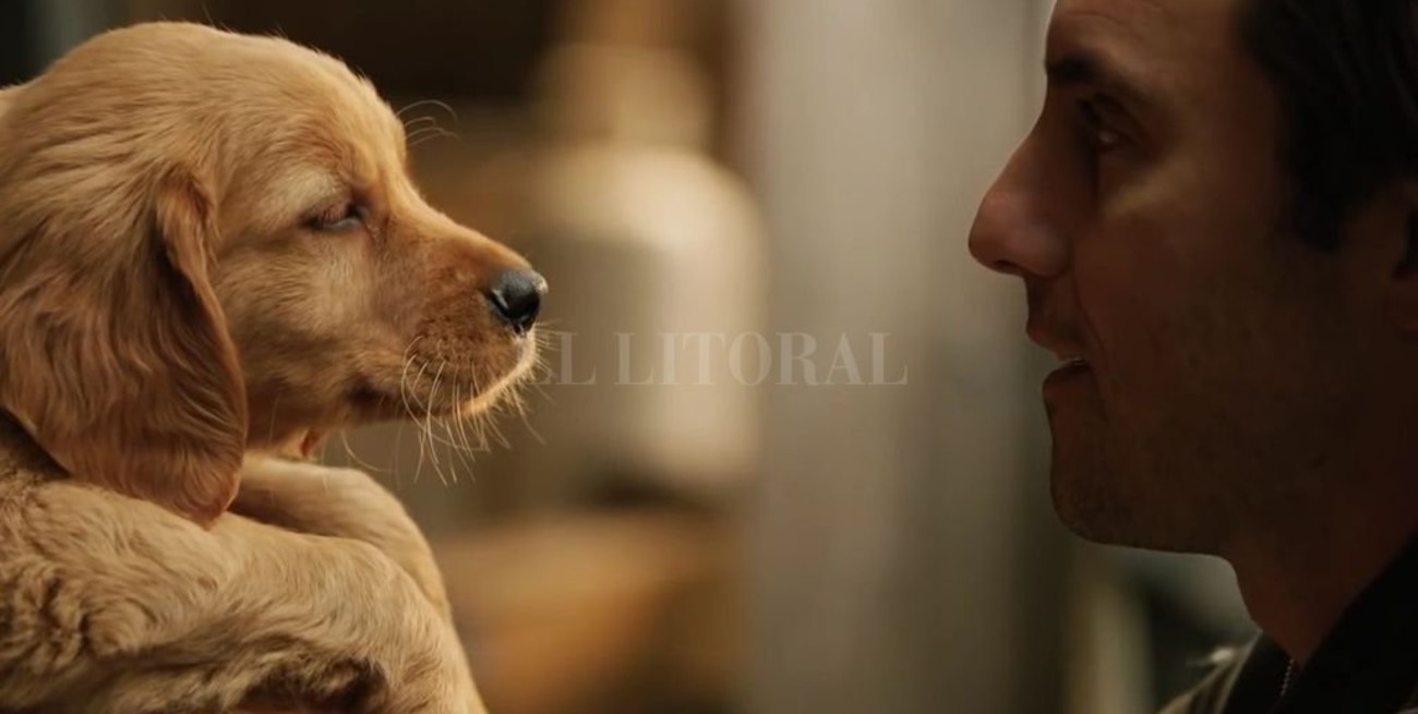 Aprendizajes que traen los años