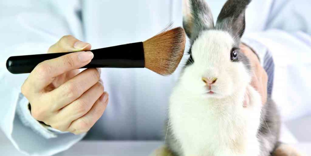 Colombia prohibió las pruebas de cosméticos en animales