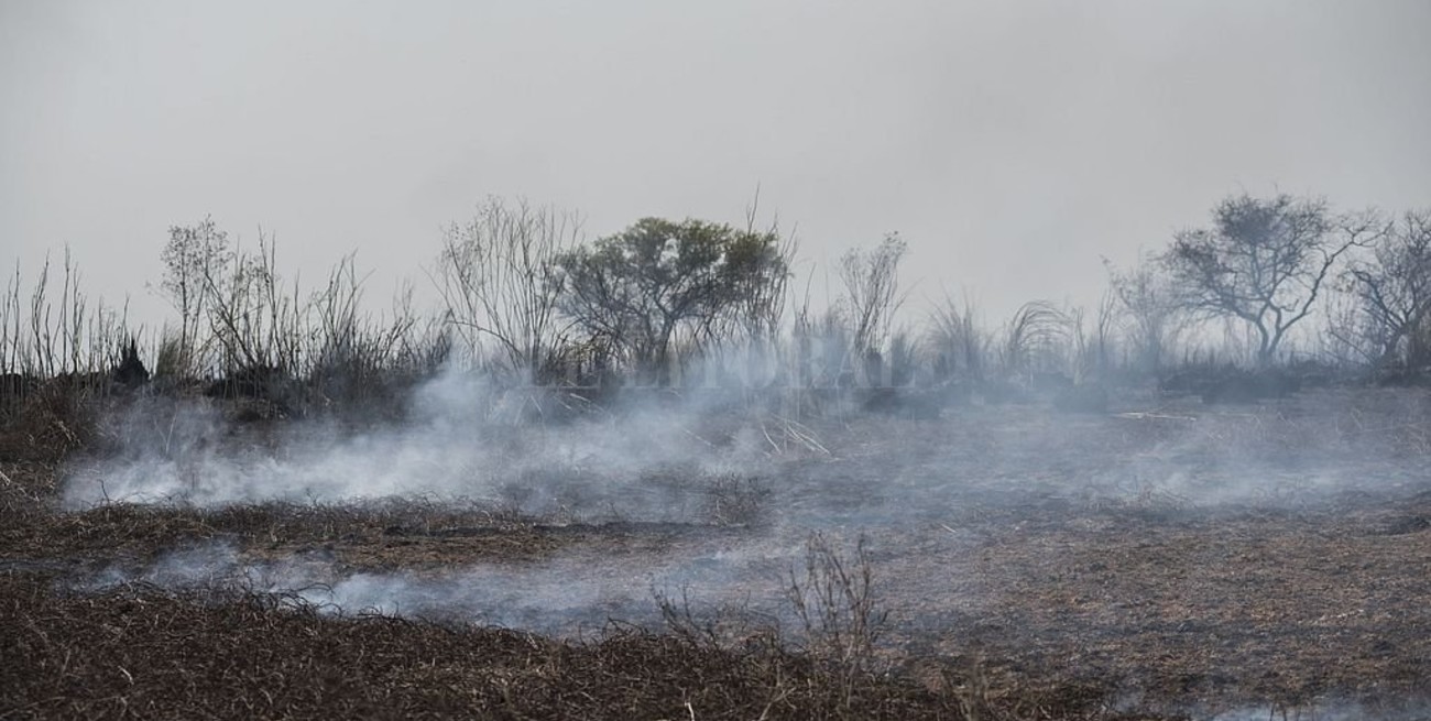 Cuatro provincias continúan con focos activos de incendios forestales
