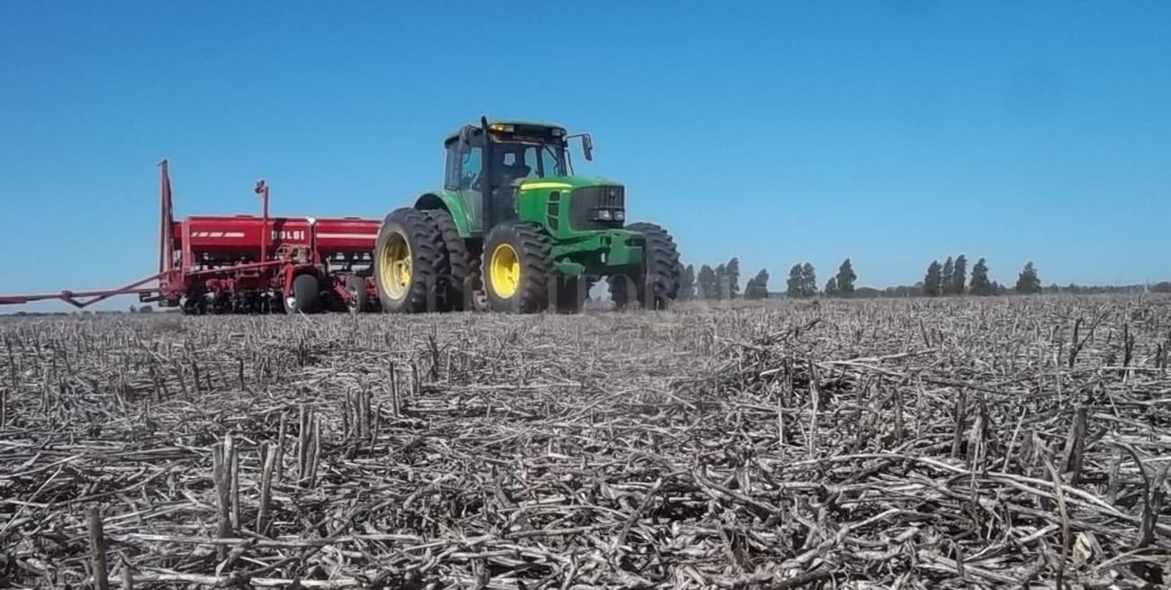 El clima acompaña la siembra de girasol